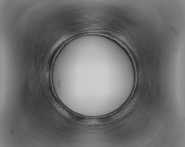 X0000115491450200911060951