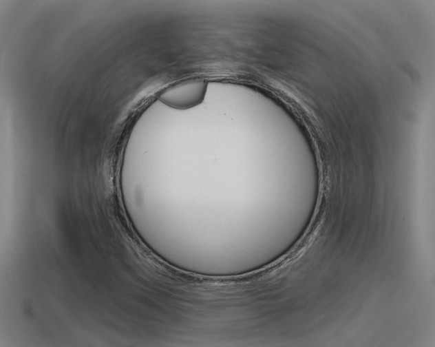 X0000115491451200911060951