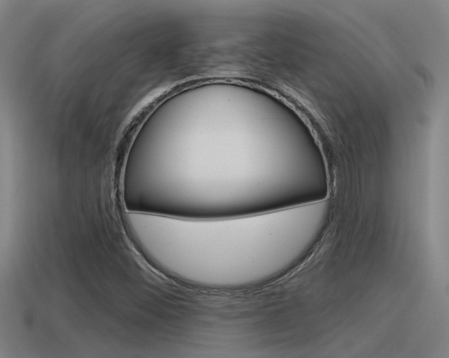 X0000115491452200911060951
