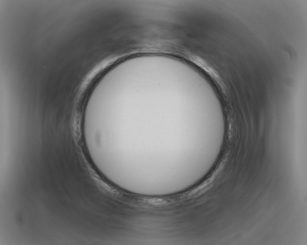 X0000115491454200911060951