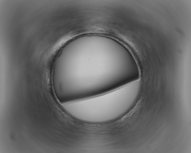 X0000115491455200911060951