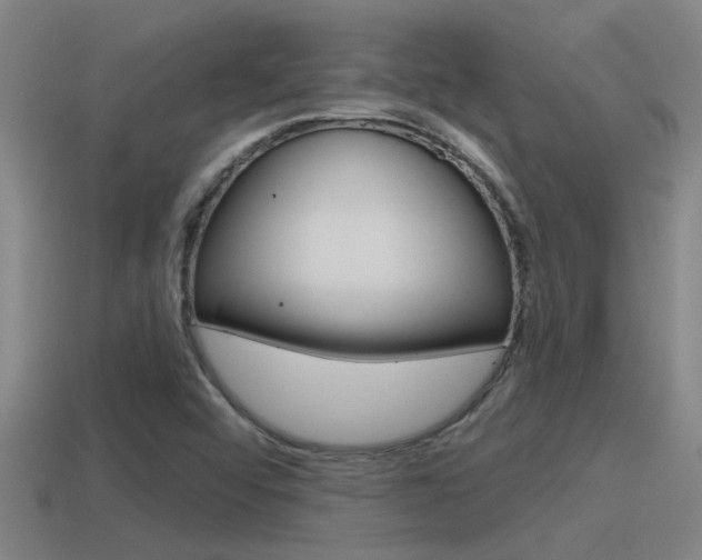 X0000115491456200911060951