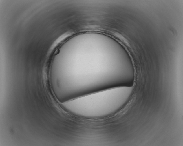 X0000115491458200911060951