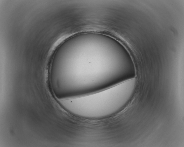 X0000115491459200911060951