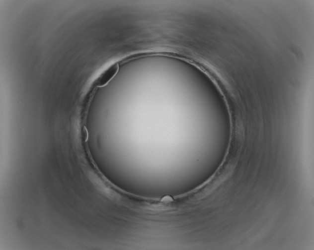 X0000115491460200911060951