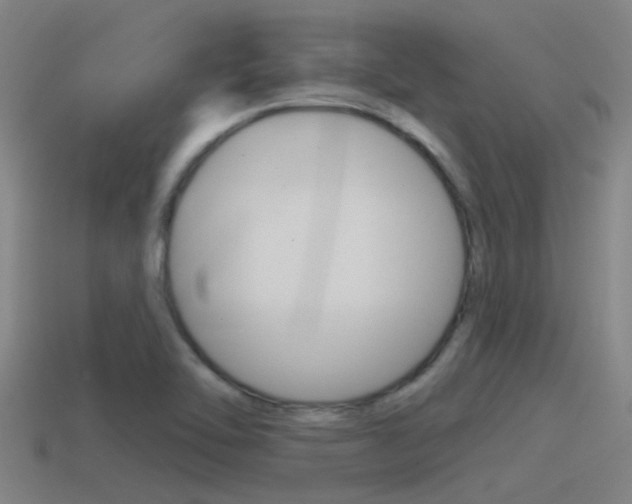X0000115491462200911060951