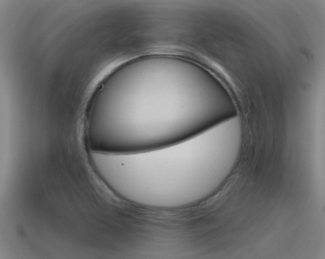 X0000115491463200911060951