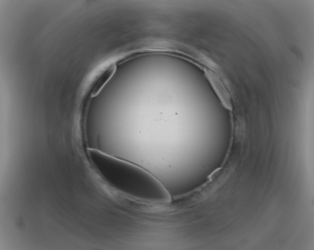 X0000115491464200911060951