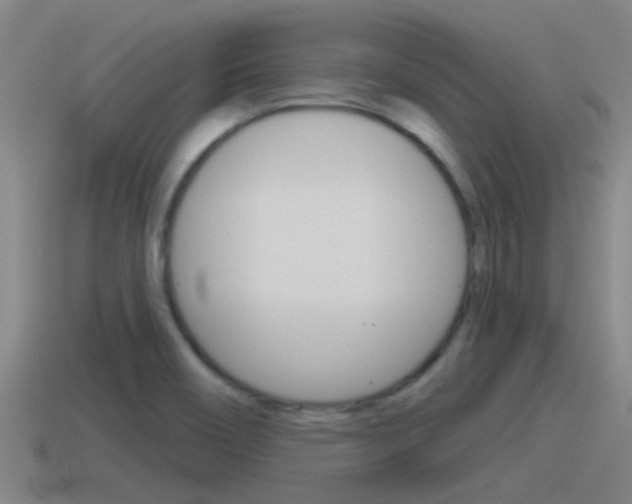 X0000115491466200911060951