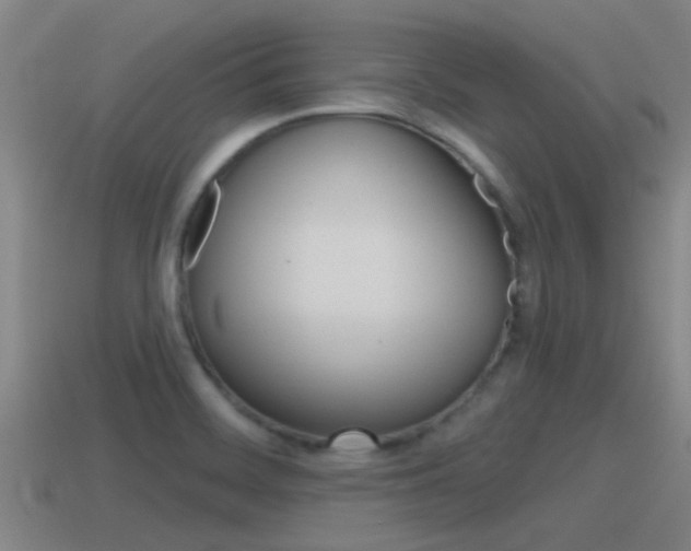 X0000115491468200911060951
