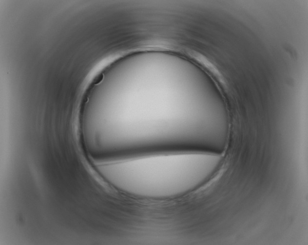 X0000115491469200911060951