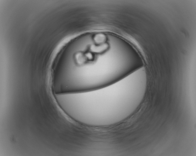 X0000115491472200911060951
