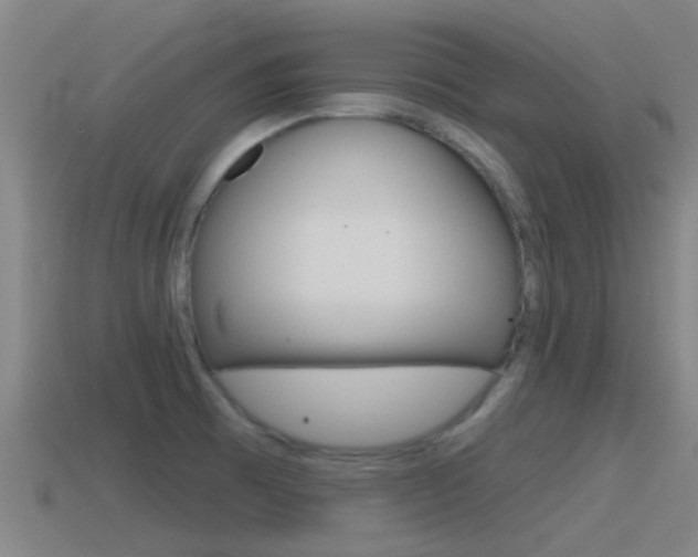 X0000115491473200911060951