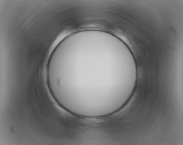 X0000115491474200911060951