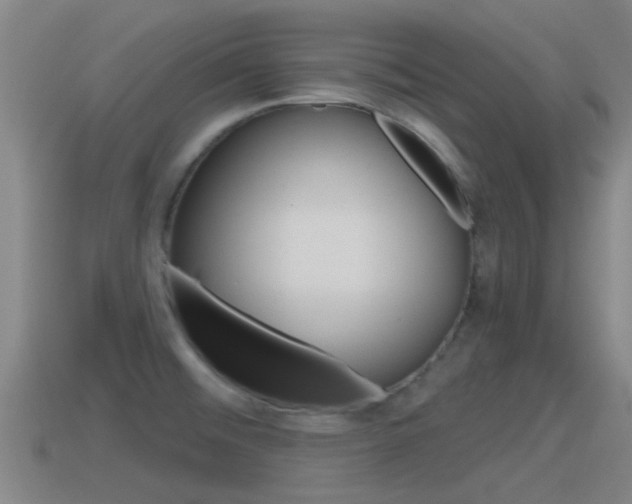 X0000115491476200911060951