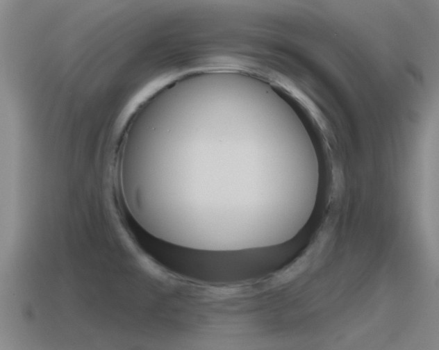 X0000115491477200911060951