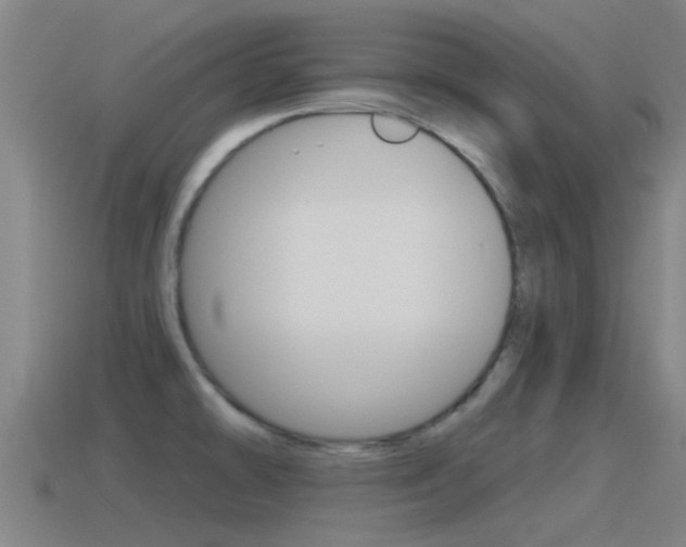 X0000115491478200911060951