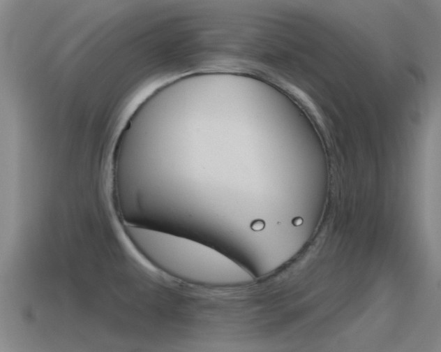 X0000115491479200911060951
