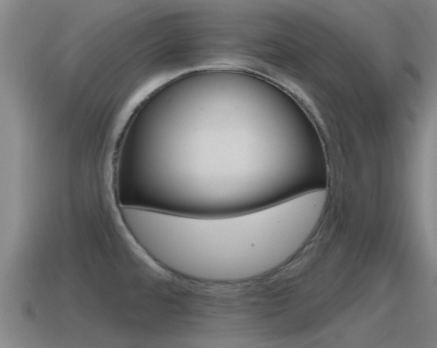 X0000115491480200911060951