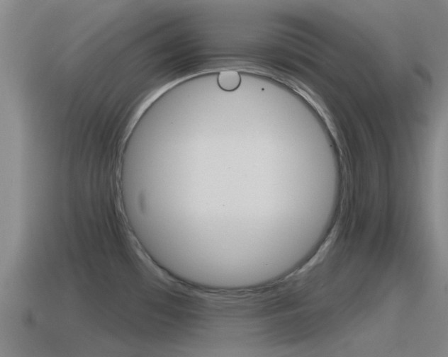 X0000115491481200911060951