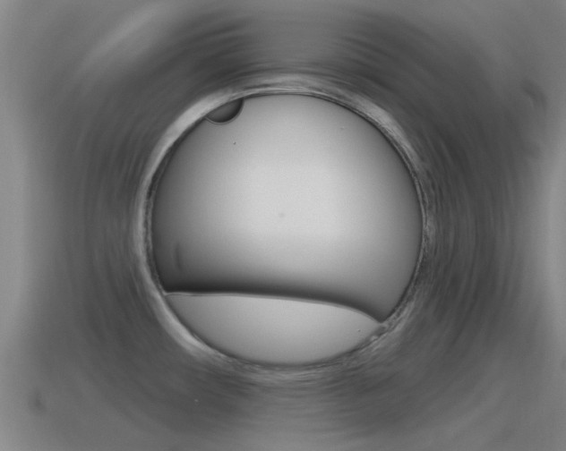 X0000115491482200911060951