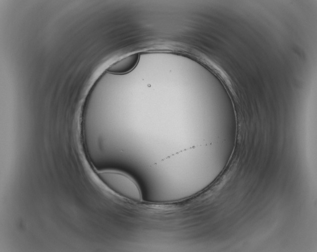 X0000115491483200911060951