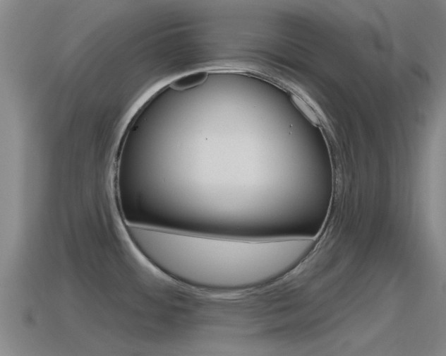 X0000115491484200911060951