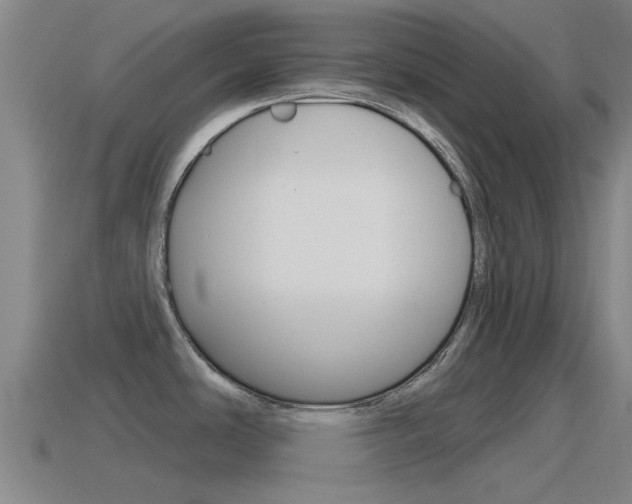 X0000115491486200911060951
