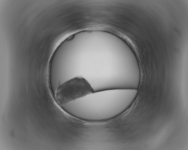 X0000115491487200911060951