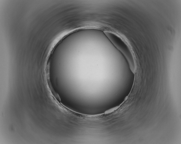 X0000115491488200911060951