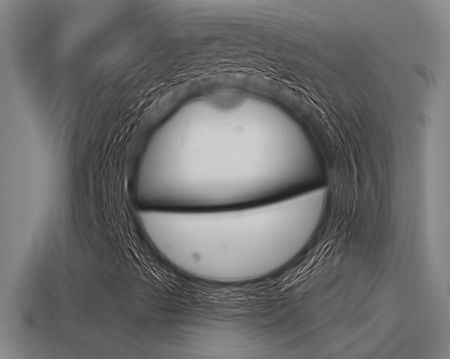 X0000115491489200911060950