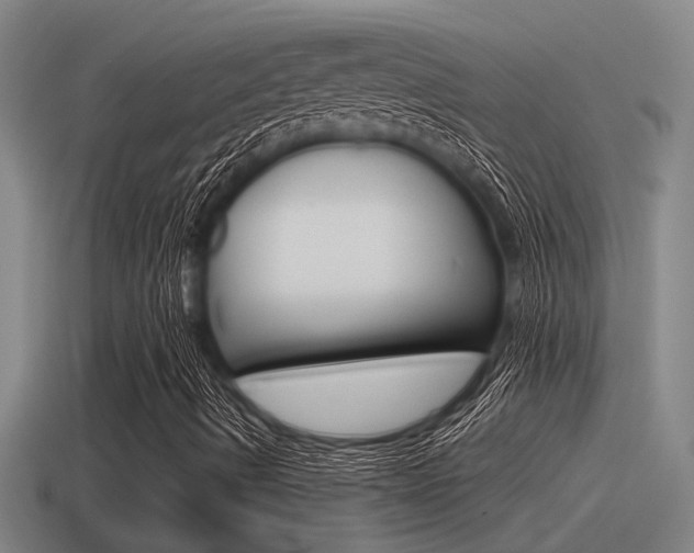 X0000115491490200911060950