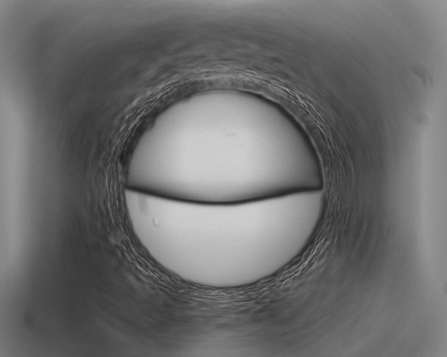X0000115491493200911060950