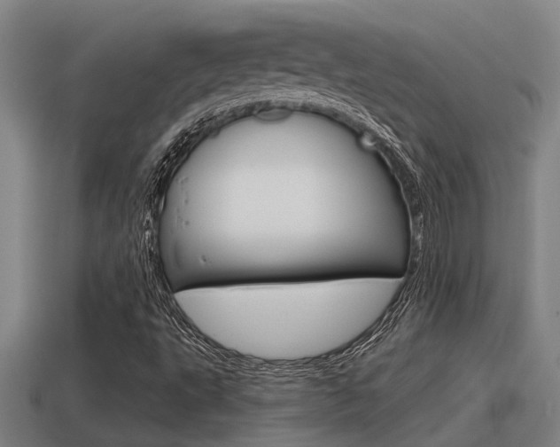 X0000115491495200911060950