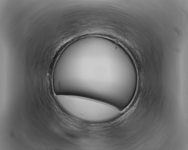 X0000115491497200911060950