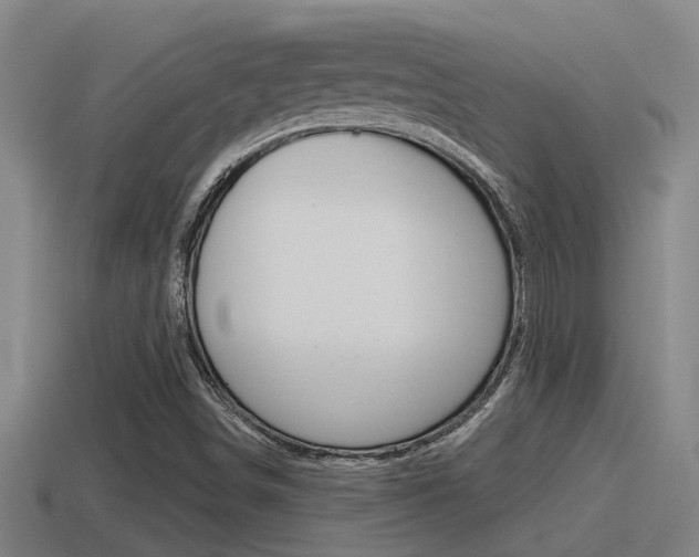X0000115491498200911060950