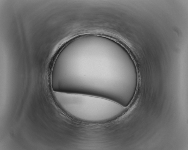 X0000115491501200911060950