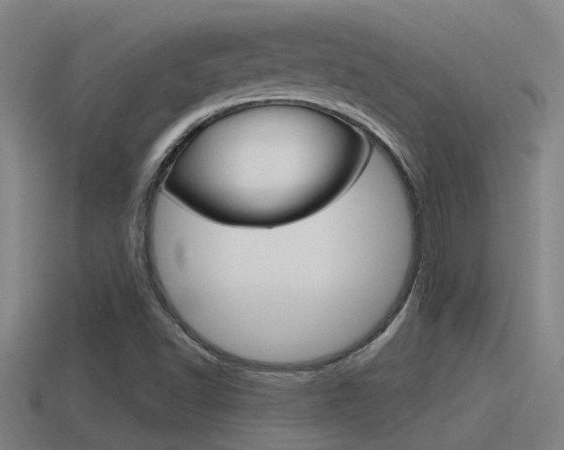 X0000115491502200911060950