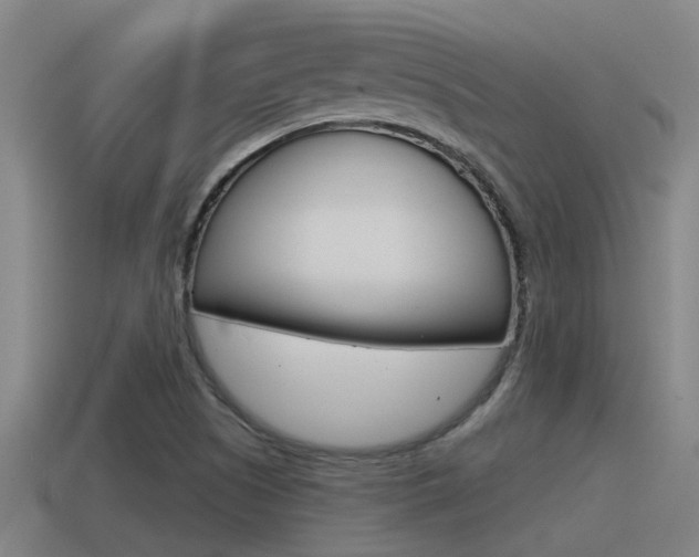 X0000115491505200911060950