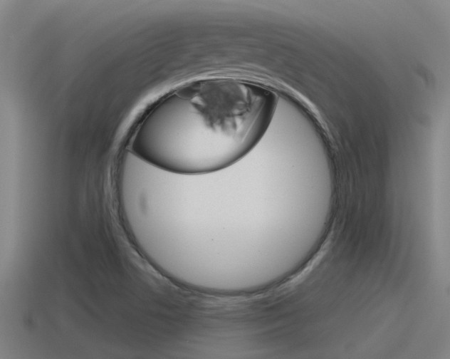 X0000115491506200911060950