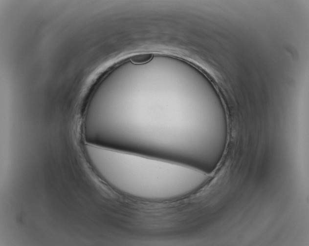 X0000115491507200911060950