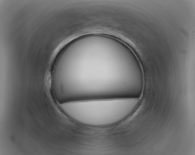 X0000115491509200911060950