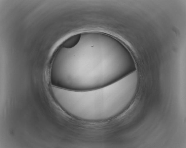 X0000115491510200911060950