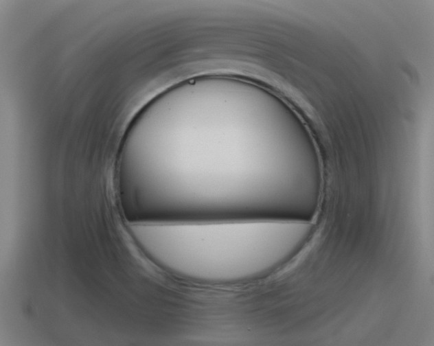 X0000115491513200911060950