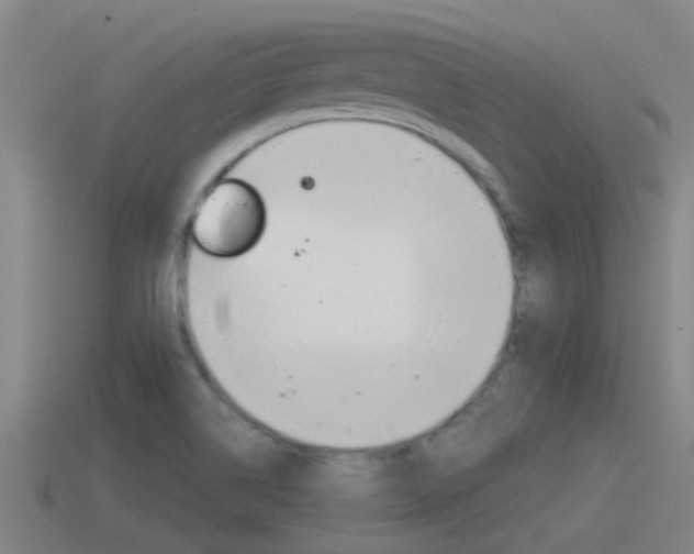 X0000115491514200911060950