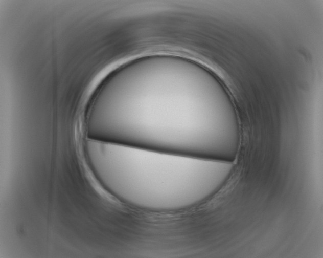 X0000115491515200911060950
