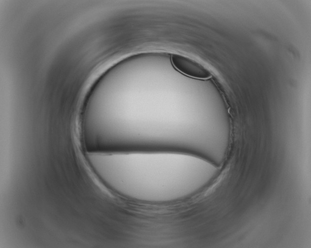 X0000115491517200911060951