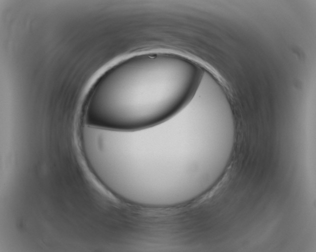 X0000115491518200911060951