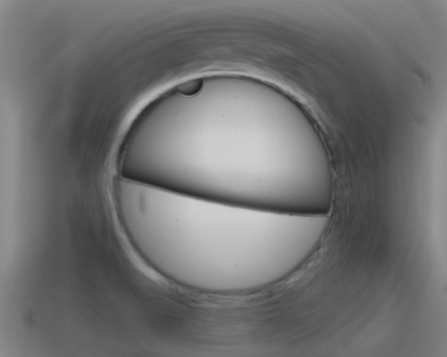 X0000115491519200911060951