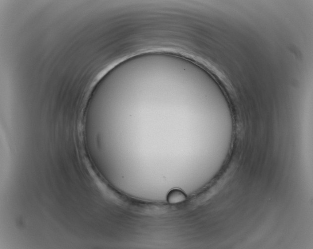 X0000115491521200911060951